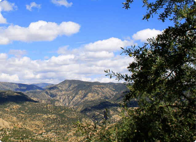 La route du miel