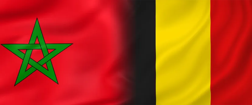 




Morocco, Belgium to Strengthen Judicial Cooperation


