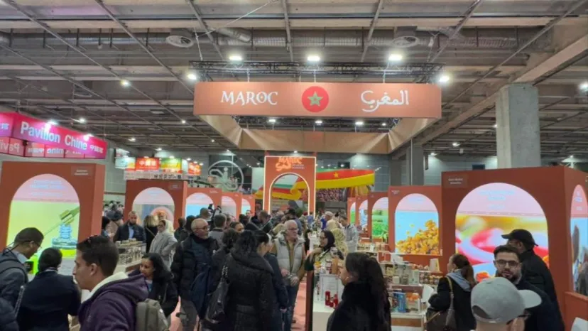 




نجاح بارز للمشاركة المغربية في معرض باريس الدولي للفلاحة


