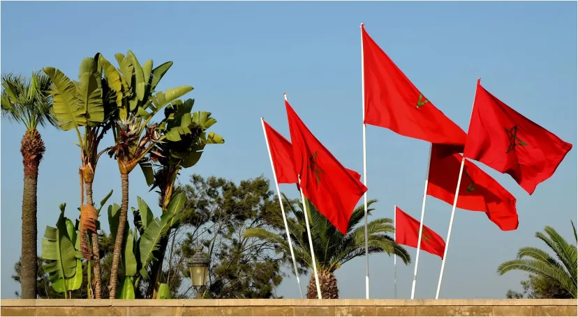




Morocco Elected to Chair 57th UNECA, Conference of African Finance Ministers


