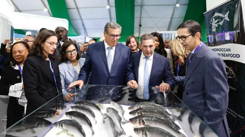 




معرض "أليوتيس" بأكادير.. قطاع الصيد البحري يحظى بأهمية كبرى لدى المستثمرين 


