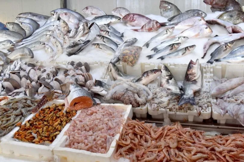 




مبادرة "الحوت بثمن معقول" تشهد إقبالا كبيرا من خلال تسويق 2150 طنا من الأسماك المجمدة


