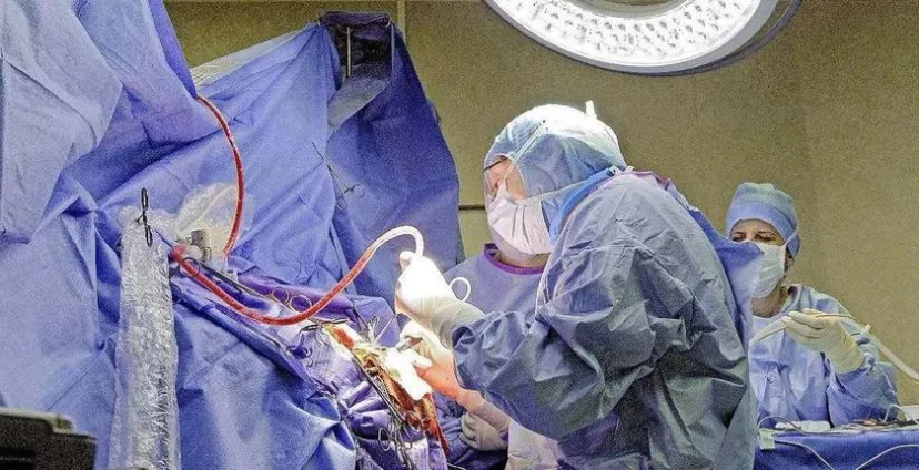 




Mohammed VI University Hospital Performs Reimplantation of Fully Amputated Hand


